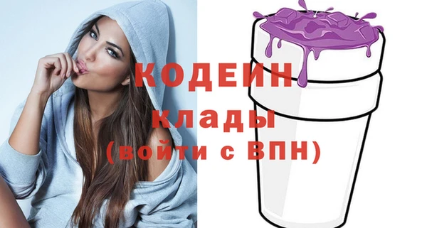 винт Няндома
