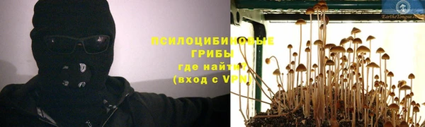 PSILOCYBIN Нягань