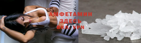 винт Няндома