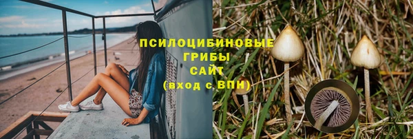 спиды Нязепетровск