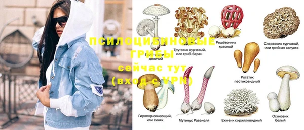 PSILOCYBIN Нягань