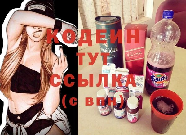 дмт Новозыбков