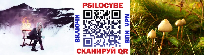 KRAKEN ТОР  Лихославль  Псилоцибиновые грибы прущие грибы 
